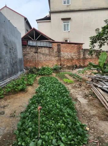 Bán đất 62,3m² ngang 4m tại Xã Tiên Dược Huyện Sóc Sơn