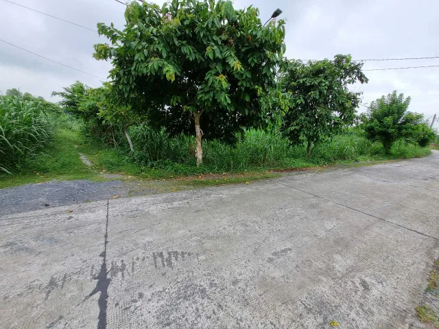 (B502) Đất gần Nguyễn Thị Nê, xã Phú Hòa Đông, dt 955m2, thổ cư 937m2, giá 6 tỷ 500 thương lượng