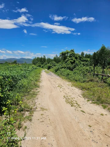 0938.113.403 Bán đất 22931m² ngang 90m giá 1.72 tỷ tại Xã Ninh Tây Thị xã Ninh Hòa