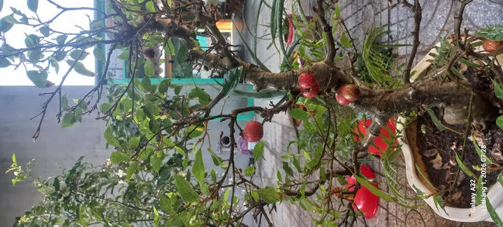 Bán đất 87.6m² có sẵn 40m² thổ cư ngang 5m giá 2.85 tỷ tại Phường 11 Thành phố Vũng Tàu