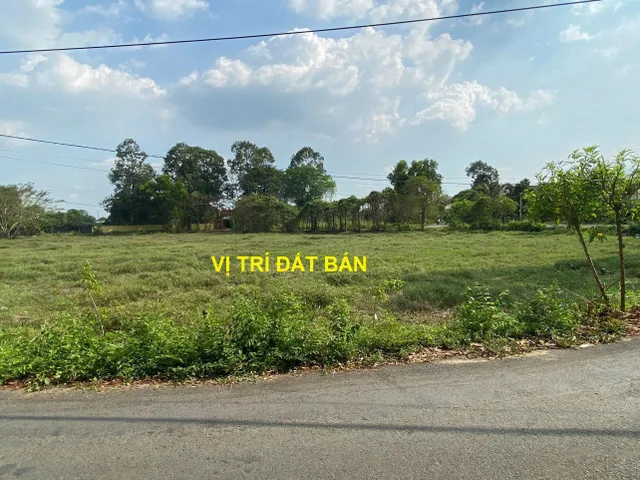 Bán Đất Vườn Mặt Tiền Đường Số 24, Tân Thông Hội, Củ Chi - Gần Quốc Lộ 22 - 5981m² - Giá 14.9 Tỷ