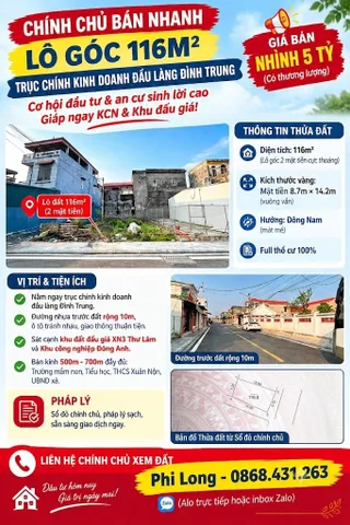 Lô góc 116m2, mt 8,7; trục chính kinh doanh, oto tải tránh nhau, đầu làng Đình Trung, Thư Lâm.