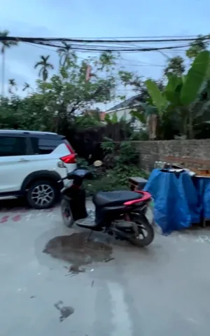 X Bán đất 90m² ngang 5,2m giá 2.45 tỷ tại An Đồng An Dương