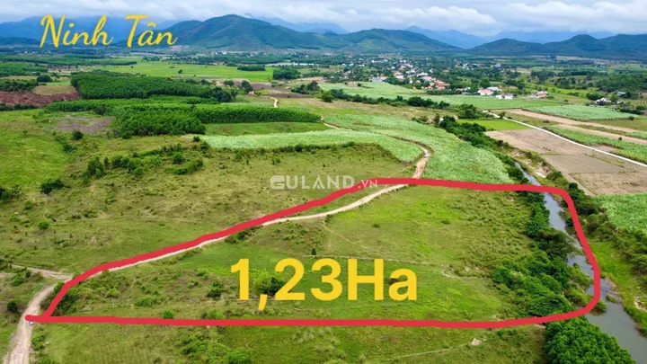 1.23 hec quy thổ giá 6 tỷ v1