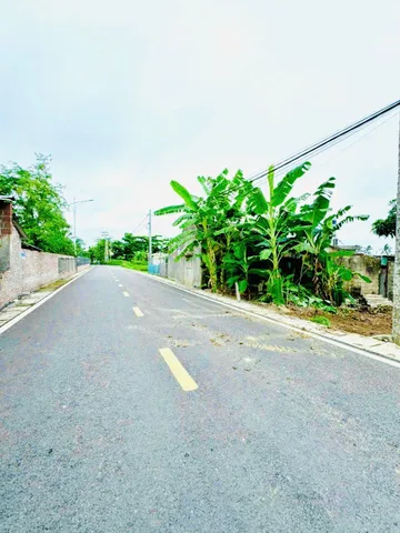 05/2026.Bán đất 70.4m² full thổ cư ngang 7.03m. đường nhựa 7m.giá 2.65 tỷ tại Phường Thiên Hương. Lâm Động. liên hệ 0362558882