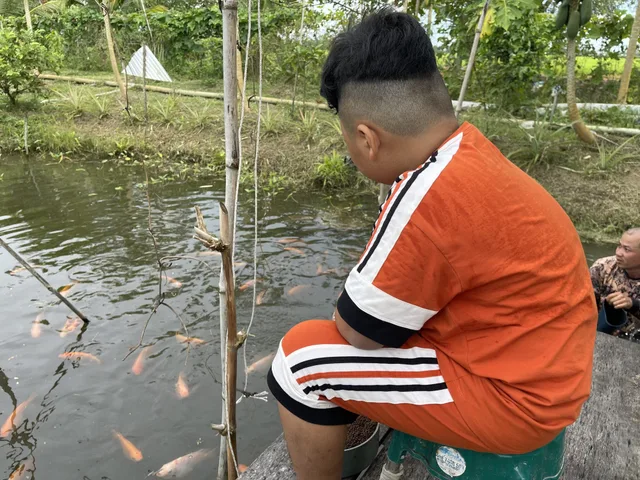 Bán đất ruộng đã lên vườn cây ăn trái