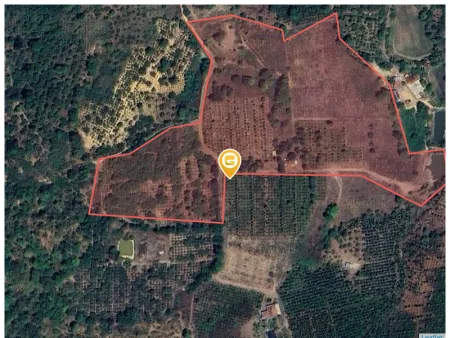 Bán đất 44000m² ngang 1000m giá 22 tỷ tại Phường Ea Kao