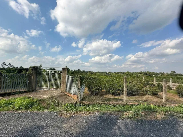 4683m2 đất vườn mt kênh 2, Vườn Thơm, xã Bình Lợi, Bình Chánh giá 9,84 tỷ