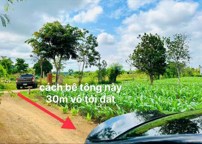 Bán đất 505.9m² giá 150 triệu Xã Ea Drông