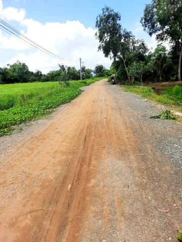 Chính chủ cần bán 5800m lúa mặt tiền liên xã Phước Tuy Tân Lân