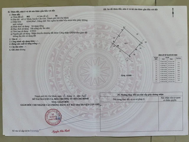 Bán đất 6383.2m² ngang 90m giá 12.8 tỷ Xã An Thới Đông