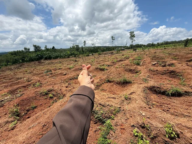 Bán đất 8500m² giá 800 triệu Xã Ea Kiết