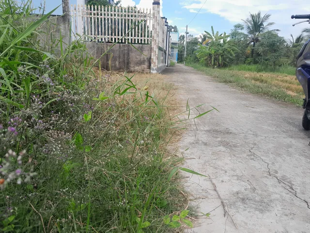 Đất Gò Công, 271m2 (6.5x34m), nở hậu 9m, có 100m2 thổ, có sổ riêng, 760 triệu