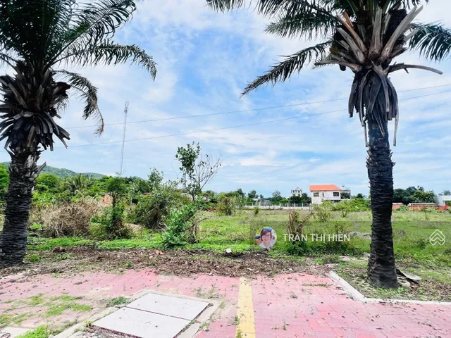 Bán đất 168,5m² ngang 6m giá 3.5 tỷ Xã Long Hải
