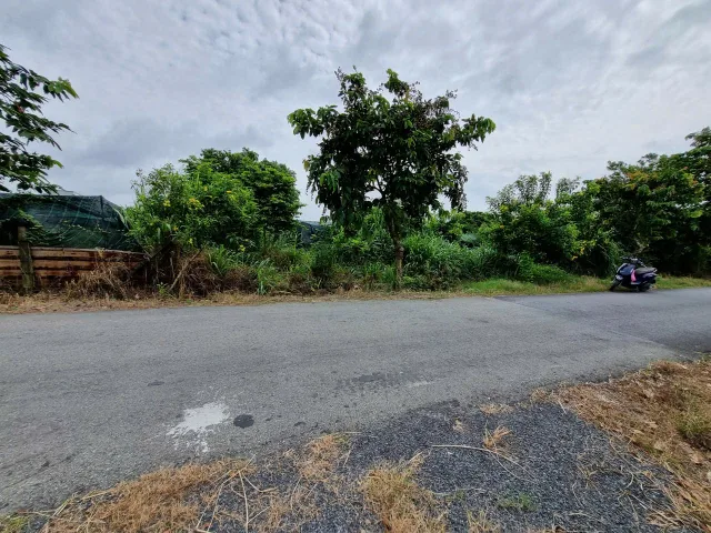 (B515) Đất 1/ Giồng Cát, xã Tân Phú Trung, dt 1.386m2, giá 6 tỷ 500