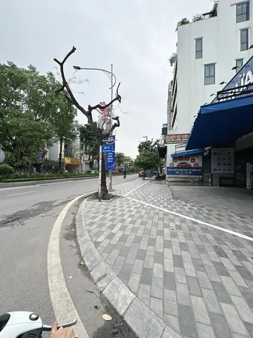 🌳 BÁN BIỆT THỰ VƯỜN ĐÀO – TÂY HỒ – 203M² – VIEW VƯỜN HOA – 119 TỶ 🌳
