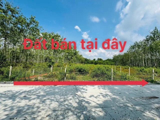 Bán 2lô liền kề có 110m thổ cư mỗi lô 
Đường Trung lập. Giá ngợp