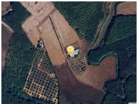 Bán đất 530.8m² ngang 10m giá 950tr Xã Tân Khai