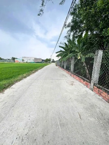 Bán đất 2641m² ngang 5m giá 680 triệu Xã Mỹ Hạnh