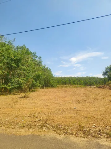 Bán đất 3142m² ngang 27,6m giá 3.14 tỷ Xã Hồ Tràm