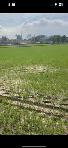 Bán đất 3728,1m² ngang 54m giá 20 tỷ Xã Hồ Tràm