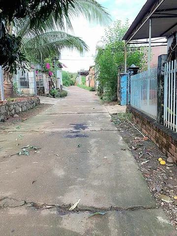 Bán đất 267.5m² Xã Hòa Phú