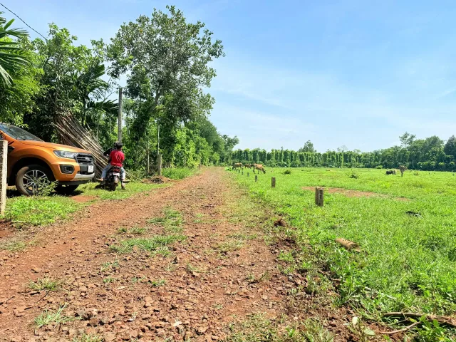 Bán đất 150m² giá 195 triệu Xã Dray Bhăng