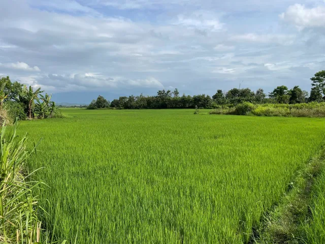 Bán đất 5200m² giá 2.15 tỷ Xã Ea Ning
