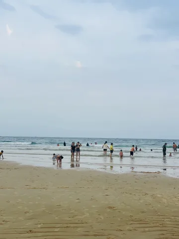 Đất biển bãi choi