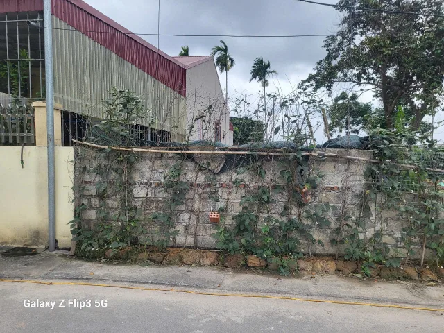 Bán đất 100m² ngang 4,37m . đường nhựa 7m. giá 2.65 tỷ Phường Thủy Nguyên ( Hoa Động). liên hệ 0362558882