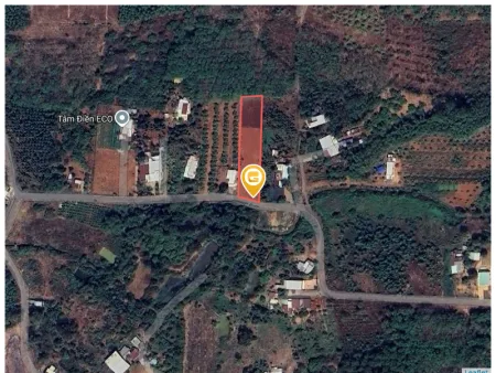 Bán đất 1932.4m² Xã Hồ Tràm