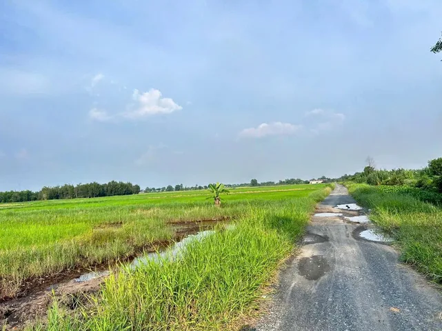 BÁN ĐẤT ĐƯỜNG KÊNH TRUNG ƯƠNG – XÃ XUÂN THỚI THƯỢNG, HÓC MÔN