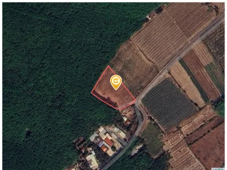 Bán đất 4143.6m² giá 11 tỷ Phường Vĩnh Tân