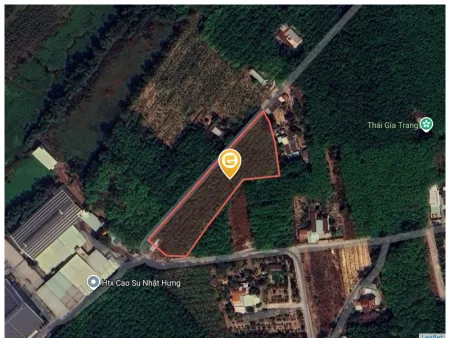 Bán đất 1298m² ngang 20m giá 2.8 tỷ tại Phường Vĩnh Tân