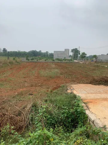 Bán đất 270m² ngang 6m giá 1.35 tỷ Phường Tân Thành