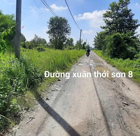 BÁN 36.535m² ĐẤT NÔNG NGHIỆP – MẶT TIỀN XUÂN THỚI SƠN 8, HÓC MÔN