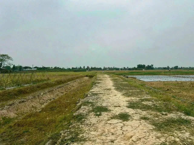 BÁN ĐẤT NÔNG NGHIỆP GIÁ TỐT – ẤP 2, XUÂN THỚI THƯỢNG, HÓC MÔN