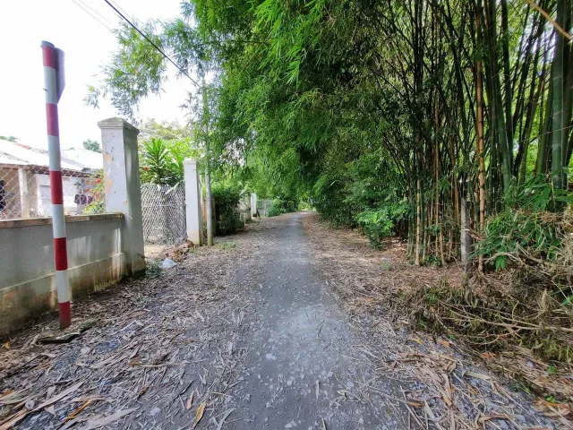 BÁN ĐẤT ĐẸP – 2 SẸC TỈNH LỘ 15, XÃ PHÚ HÒA ĐÔNG