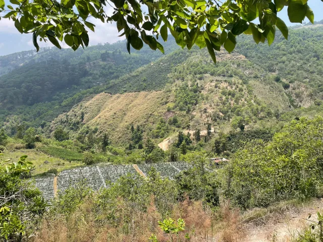 Đất nông nghiệp giá rẻ, sẵn hồng, bơ ngoại ô Đà Lạt