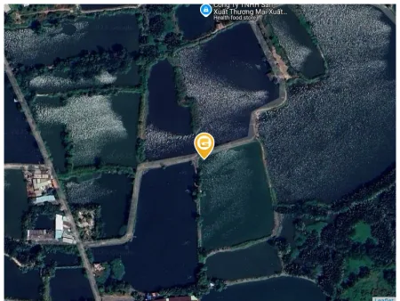 Bán đất 5000m² giá 15 tỷ Xã Bình Hưng