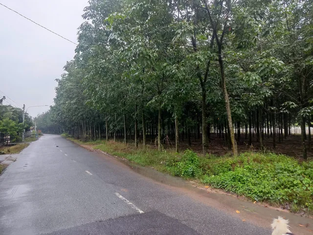 Bán đất 870.6m² ngang 15m giá 4.8 tỷ Phường Vĩnh Tân