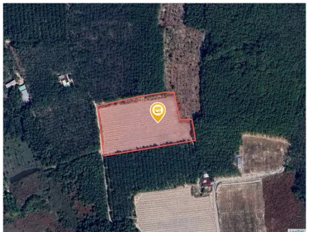 Bán đất 10007.3m² ngang 66m giá 3.2 tỷ Phường Chơn Thành