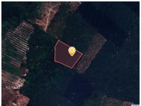 Bán đất 4993.8m² ngang 59m giá 6.8 tỷ Phường Chánh Phú Hòa