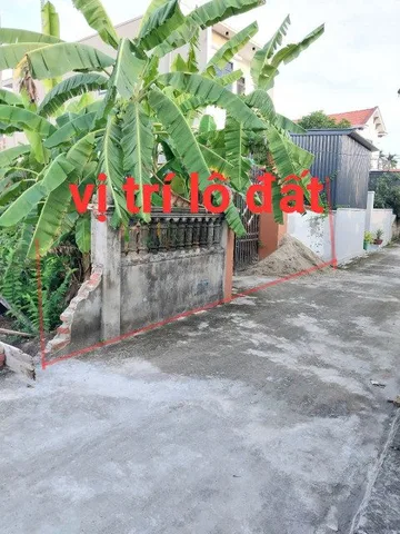 Bán đất 70m² ngang 4,52m giá 1.39 tỷ Phường Thiên Hương( hoàng động cu) Hàng fo. Lh em 0342165555