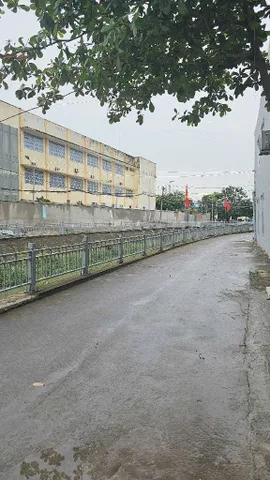 Căn Hộ Dịch Vụ 442m², 4 Tầng, Đường Nhựa 16m, 11x40m2, Thang máy, giá 24tỷ90, An Phú Đông 9, Q.12