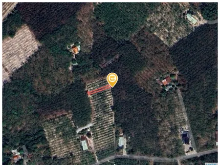 Bán đất 247.5m² ngang 5m giá 360 triệu Xã Long Hòa