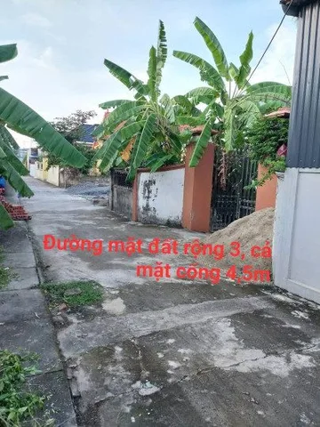 Bán đất 73m² ngang 4,7m giá 1.39 tỷ Phường Thiên Hương( hoàng động cu) b ngay khu cn nam cầu kien. Sdt 0342165555