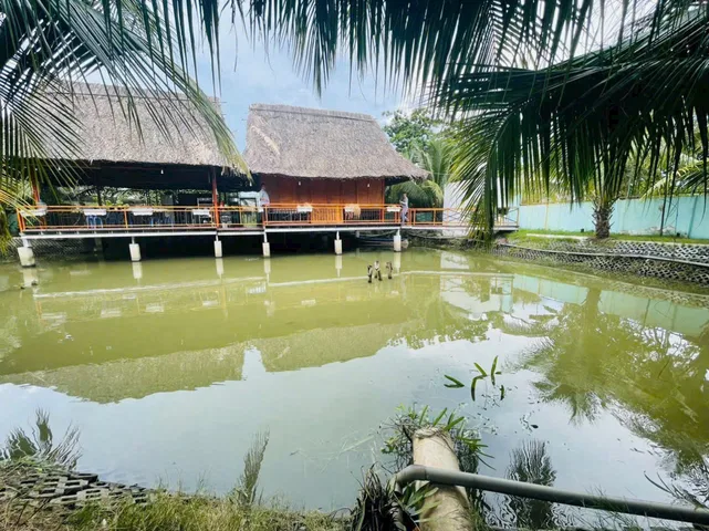 Bán nhà vườn, view sông thoáng mát, Lê Văn Lương, 653m², giá 3.1 tỷ Xã Hiệp Phước