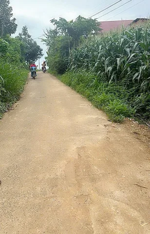 Bán đất 100m² giá 175 triệu Xã Ea Na