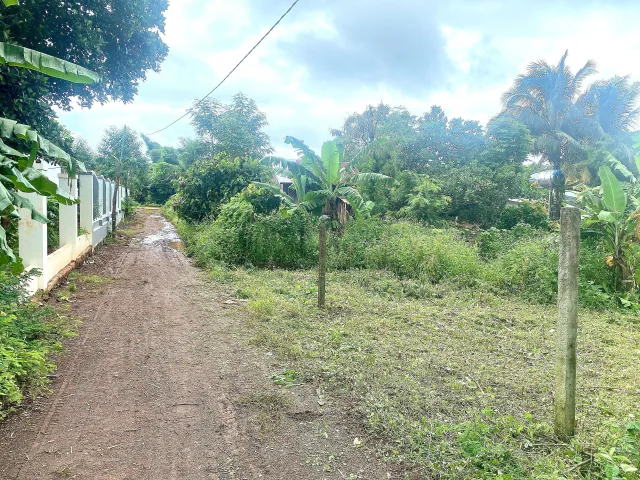 Bán đất 185m² giá 350 triệu Xã Ea Nuôl